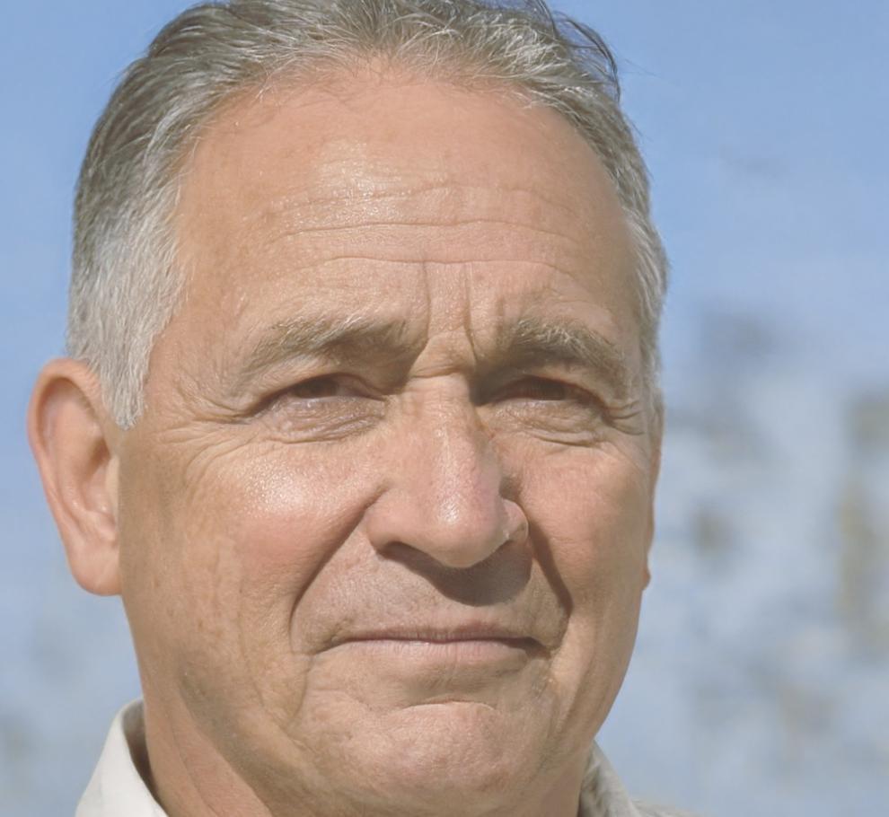 Experto en servicios financieros